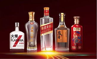 朋友圈再次擴(kuò)大 時(shí)代汽車與五糧液系列酒公司達(dá)成戰(zhàn)略合作共識(shí)，共拓跨界食品銷售新路徑