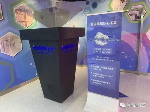 濟(jì)南高新技術(shù)產(chǎn)業(yè)開發(fā)區(qū)管理委員會 文明實踐 政策帶動與技術(shù)創(chuàng)新賦能種源安全 濟(jì)南高新區(qū)政企聯(lián)動支撐濟(jì)南打造 種業(yè)之都