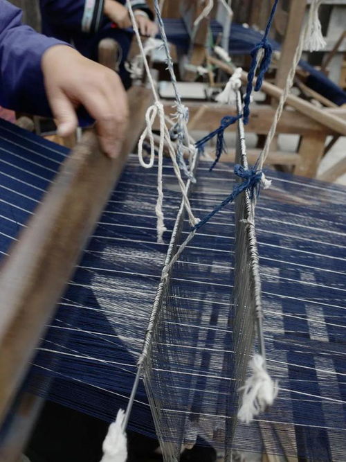 開始看樹逛田的設(shè)計(jì)師們